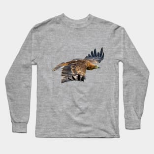 Golden Eagle in flight Long Sleeve T-Shirt